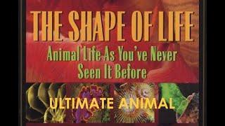 The Shape of Life - 7 of 8: Ultimate Animal (Echinoderms)