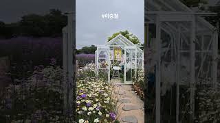 살며 살아가는 행복 #이승철 #아마추어 #music #kpop #shorts