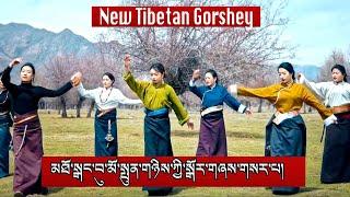 New Tibetan Gorshey 2023 མཐོ་སྒང་བུ་མོ་སྤུན་གཉིས་ཀྱི་སྒོར་གཞས་གསར་པ། Tibetan Circle Dance