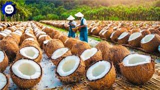 45 Most Satisfying Agriculture Technology ► 25 | How To Harvest And Process Billions of Coconuts