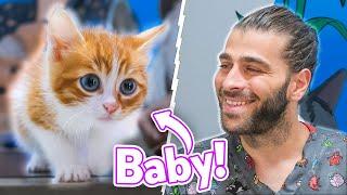 Have You Ever Seen A Kitten Like This!? (Fully Energetic, Naughty And Cute!)