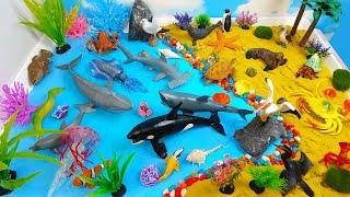 Learn Sea Animal Names & Facts with toys- DIY Huge Marine Diorama- Sharks Whales and others