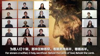 看哪神的羔羊！【BEHOLD THE LAMB OF GOD】