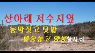 (No141) 농막짓고 텃밭하면서 양봉할수 있는 저수지 아래  시골땅 급매!