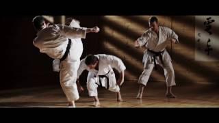 SHŌTŌKAN RYŪ KARATE DŌ KATA - Master Dario Marchini - Trailer Volume 2