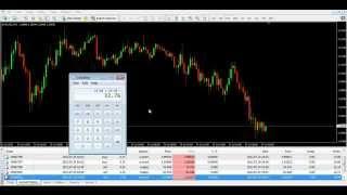 Forex Profit Model - Joshua Schultz ( A days Recap)