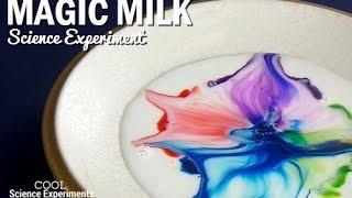 Magic Milk Science Experiment