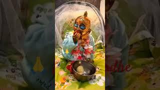 Radhe Radhe  laddu Gopal  hamari Jay jaikar Ho  i
