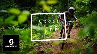 Europe's Downhill Utopia - Portes du Soleil  - "A Dog's Life" S.2, Ep.2 w/ Brendan Fairclough