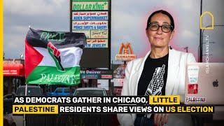 Chicago's "Little Palestine" residents on the US elections