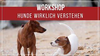 Hundesprache ⎮Hunde verstehen lernen ⎮Workshop Hunde wirklich verstehen⎮