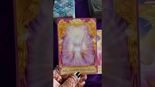 Angel guidance for you.  #shorts  #ytshorts  #tarot #angelguidance #astroshorts