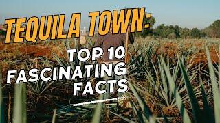 Tequila Town:  Top 10 Fascinating Facts