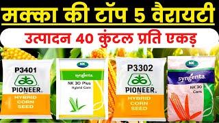 makka ki best variety || मक्का की टॉप 5 वैरायटी | makka ki best variety || makka ki top variety