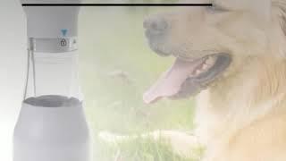 Electric Pet Lice + Combo Cleaner