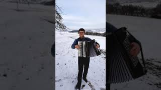 Auf der Gibler Alm - Die Stoifeger Polka mit Akkordeon