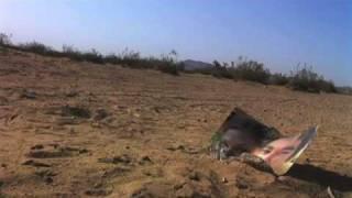 Desert Dead - A Short Film from Silva Screen Productions