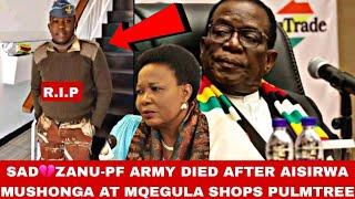 BreakingZanu-PF Army died zvisina tsarukano at Mqegula shops Pulmtree aisirwa mushonga