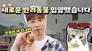 에라 모르겠다 애완동물 한마리 더 입양해버렸습니다ㄷㄷ