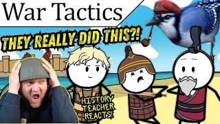 Wacky War Tactics in yet another Nutshell | BlueJay | History Teacher Reacts