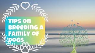 Tips on Breeding a Family of Dogs