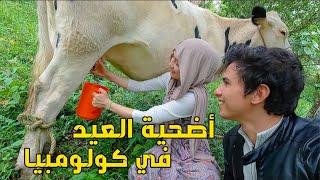 مشينا نقلبو على أضحية العيد لقينا خروف و بقرة بثمن خيالي !!!