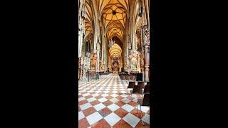 Vienna - St. Stephen's Cathedral @TravelExperiences