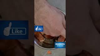 Удивись, как готовить шашлык из форели через 5 минут! #тотсамыйшашлычок