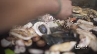 Notaras Fish Markets in Sydney selling wide selections of Seafood