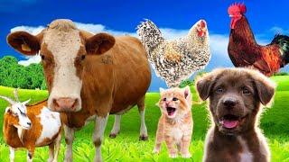 FARM FRENZY!Goats,Rabbits,Puppies,and Birds Galore #villagerealities #petsvlog