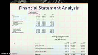 Sarah Pickett General Motors Corporate Financial Analysis