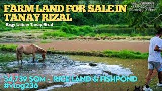 #vlog236 FARM LOT FOR SALE IN TANAY RIZAL PHILIPPINES (34,739 SQM) #vlog235