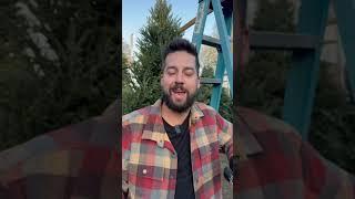 Church Christmas Tree Salesman