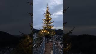 Christbaum über Erfweiler