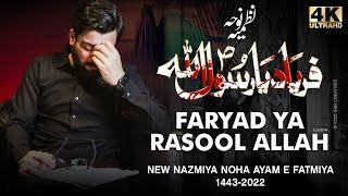 Faryad Ya Rasool Allah (s.a.w)