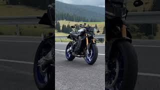 2024 Yamaha MT-09 SP  #yamaha #mt09 #mt09sp