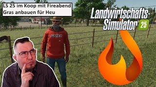 #LS25 Koop - Gras anbauen für Heu #2 - Im Multiplayer mit @FireabendTV  #farmingsimulator25