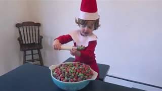 DON"T FEED THE  ELF ON THE SHELF