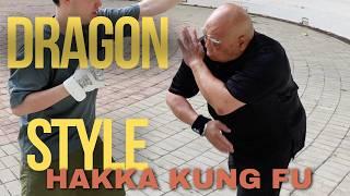 This Hakka Kung Fu Master brings the Dragon Style to Life
