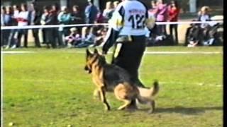 Dargo v Zirndorfer Gauner in Saint Petersburg