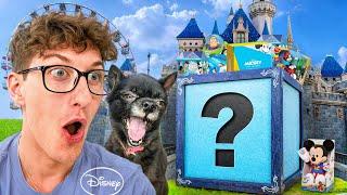 PUDDIN GOT ME A DISNEY MYSTERY BOX!!