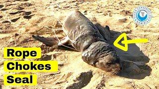 Rope Chokes Seal