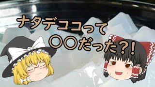 ナタデココって何からできているか知ってる？【雑学/ゆっくり解説】