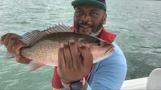 Snapper Bite Was On Fire - Clearwater Boating.