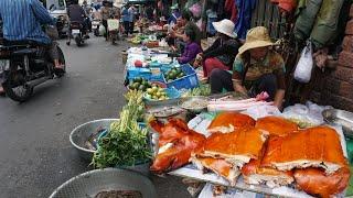 Walk Around Boeng Pralit Market - Morning Daily Lifestyle & Activities of Vendors in Market Town