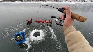 Early Ice Fishing Aggressive Jumbo Perch and Walleye!