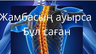 Жамбас ауырса не істеу керек? Что делать если болит тазабедренный сустав…