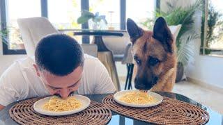 Spaghetti Eating Competition: My German Shepherd Dog vs. Me