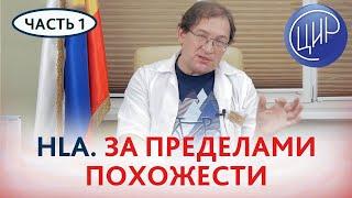 HLA-гены и репродукция. За пределами похожести. Программы ЦИР. Часть 1.