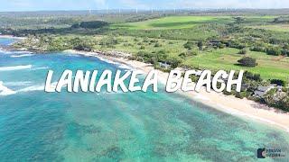 Laniakea Beach, Oahu, Hawaii (Beautiful Beach with Great Surfing on the North Shore)